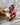 adidas Gazelle Indoor Scarlet Cloud White
